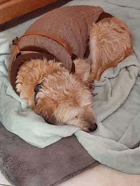 sam 20191230_142807.jpg