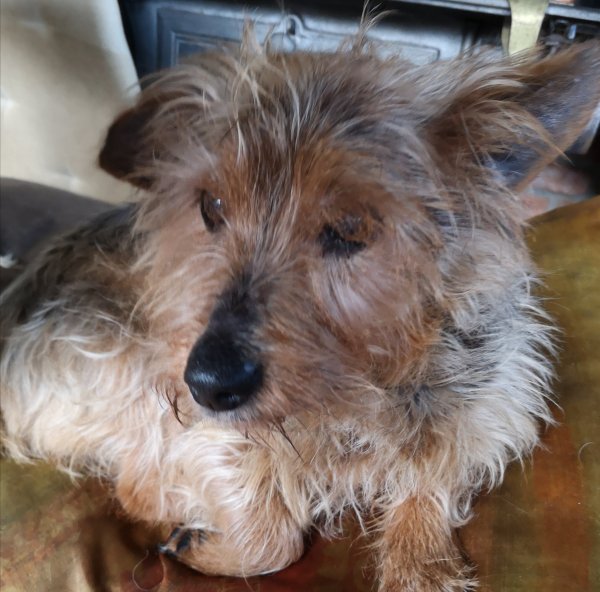bobby 01 02 20.jpg