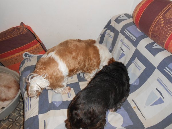 DSCN3091.JPG