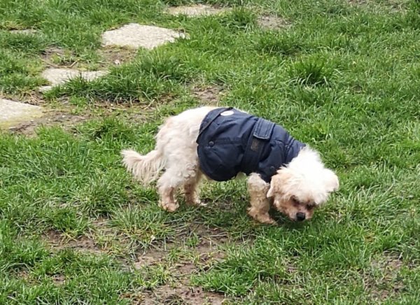 cesar 07 03 80.jpg