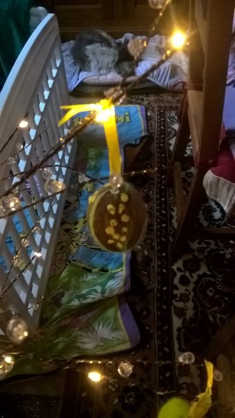 WP_20200319_16_17_04_Pro.jpg