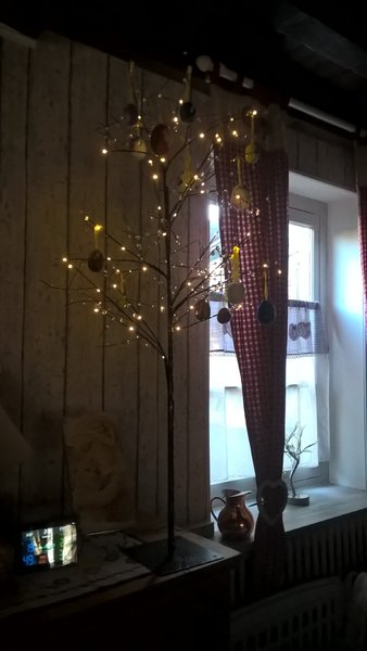 WP_20200319_16_18_49_Pro.jpg
