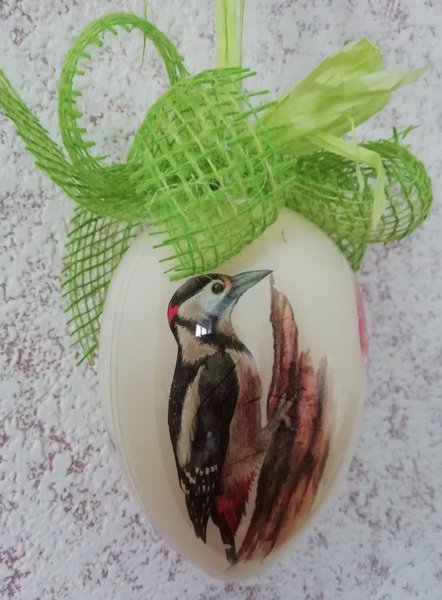 Oeuf de Pâques pic épeiche (rogné).jpg