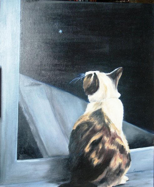 Chat sur les toits 2.JPG