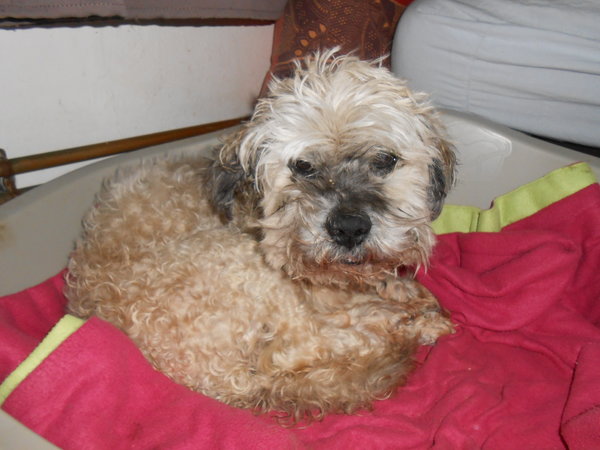 DSCN3175.JPG