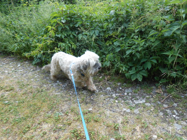 DSCN3207.JPG
