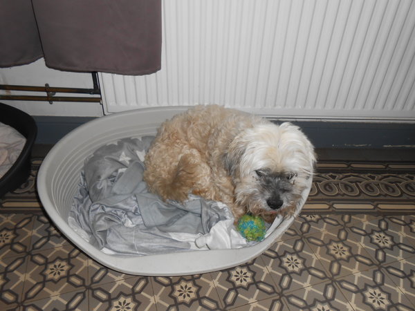 DSCN3213.JPG
