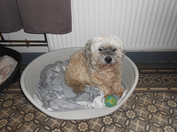 DSCN3214.JPG