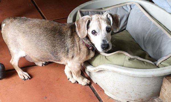 stitch 16 07 20.jpg