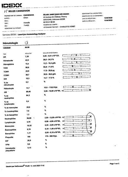 Bélize Hémato 13aout20.jpg