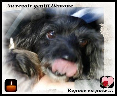 démone dcd 2.3.4.5.6.jpg