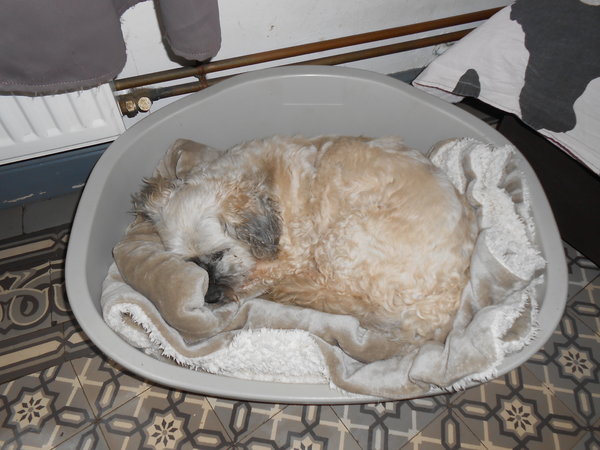 DSCN3328.JPG