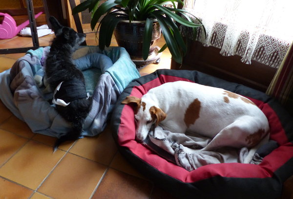 P1120242.JPG