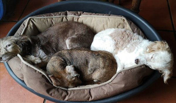 milord et potes 01 10 20.jpg