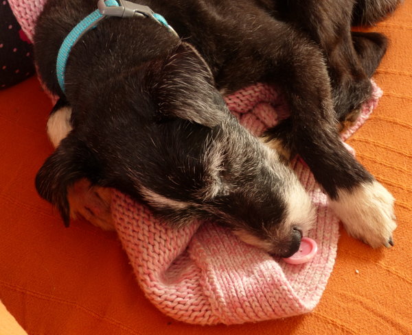 P1120354.JPG
