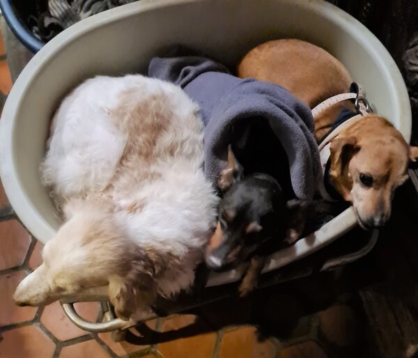 freddy et potes 03 12 20.jpg