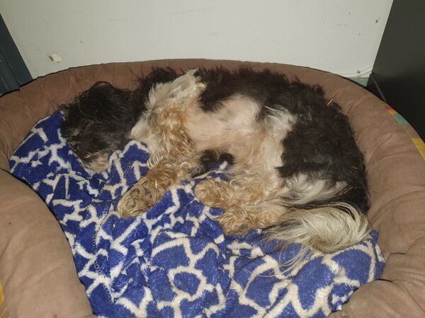 129480840_176252260736360_7581664906252618105_n.jpg