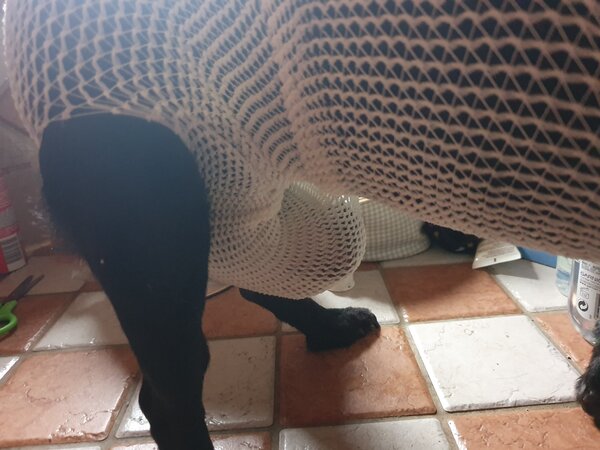 130875907_878895499316405_877911022148912840_n.jpg