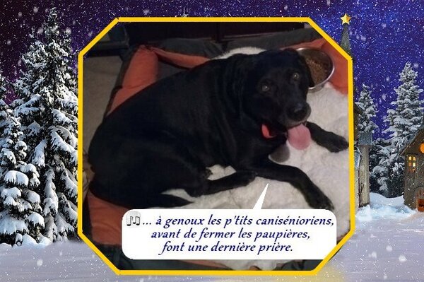 tino chorale 20 33.3.jpg