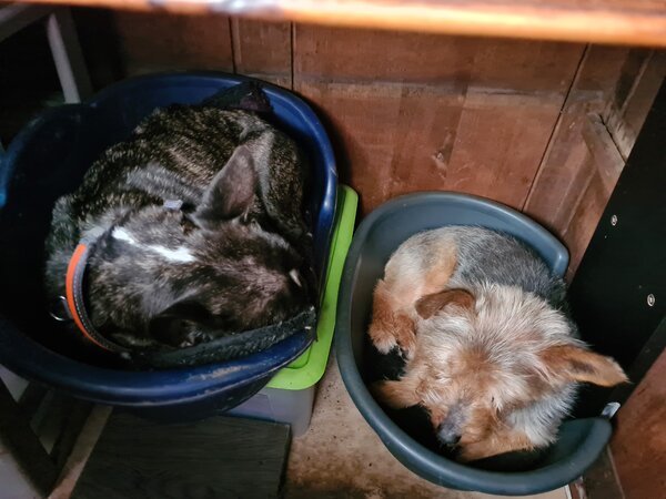 simon et bobby 13 12 20.jpg