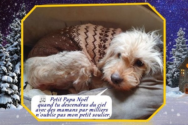 adèle chorale 20 33.3.jpg