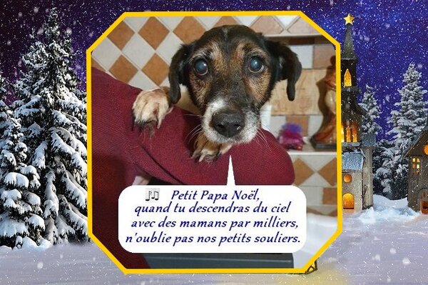 marco chorale 20.3.jpg