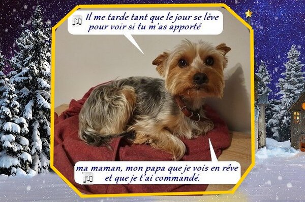 némo chorale 20 33.jpg