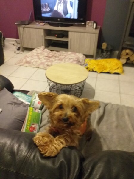 20201209_164902.jpg