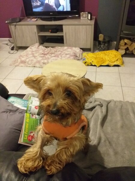 20201209_164905.jpg
