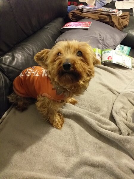 20201209_165126.jpg