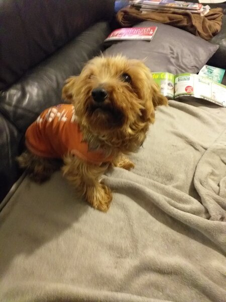 20201209_165128.jpg