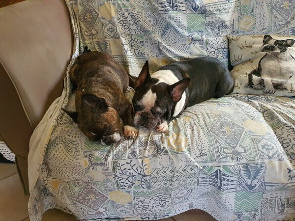 20201213_100040.jpg