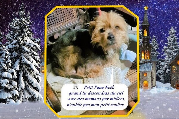 mojito chorale 20 3.3.jpg