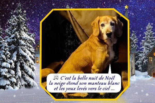 flocon chorale 20 3.4.jpg