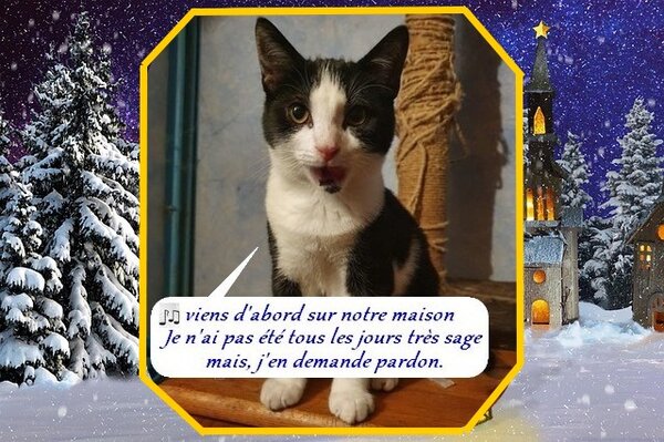 domino chorale 20 6.jpg