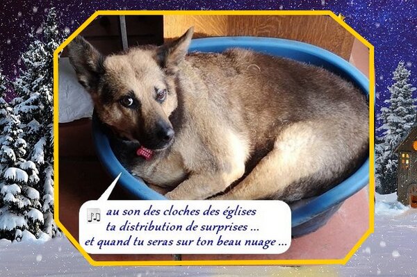 myrtille chorale 20 5.6.jpg