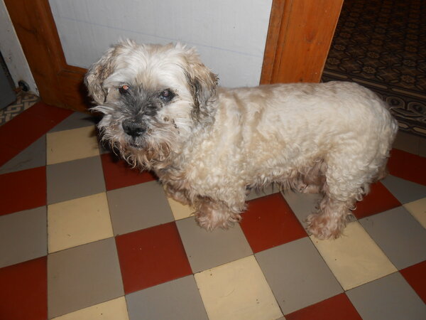 DSCN3418.JPG