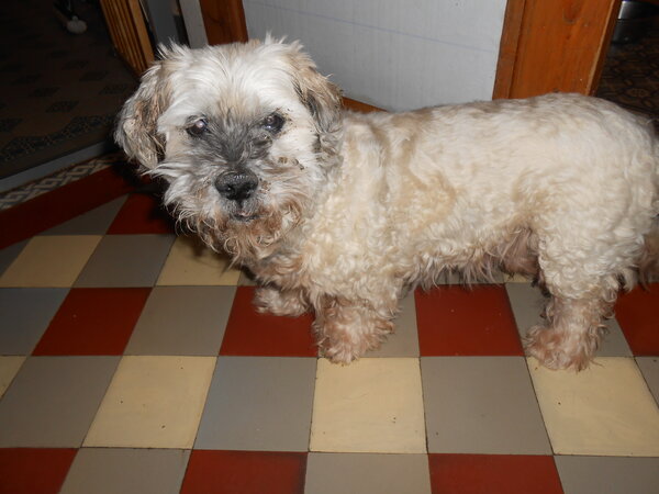 DSCN3419.JPG