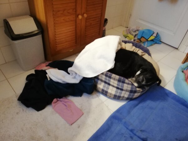 IMG_20201216_100028.jpg