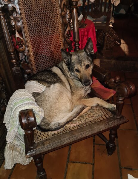 gryska 21 01 21.jpg