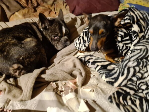 simon et freddy 08 02 21.jpg