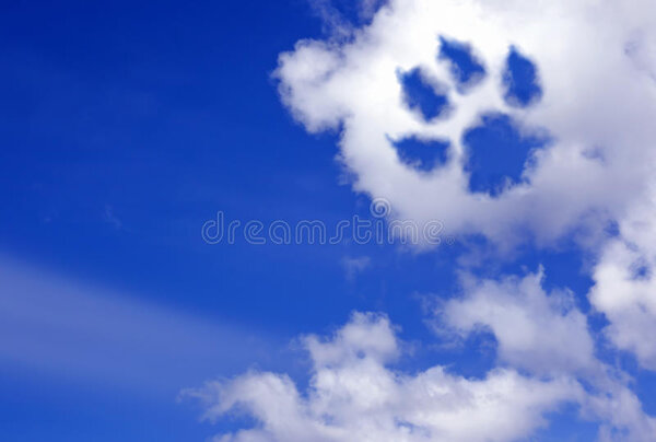 traînée-de-patte-de-chien-dans-les-nuages-de-ciel-69766360.jpg