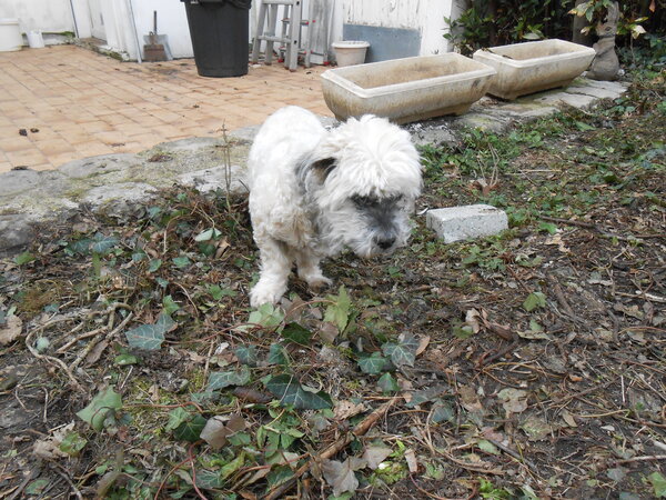 DSCN3439.JPG