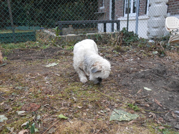 DSCN3444.JPG