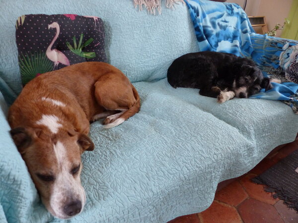 P1120837.JPG