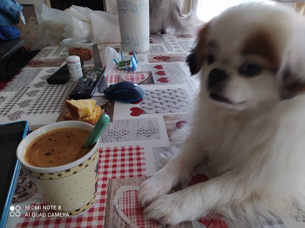 image.thumb.jpg.66fff4fbc024d70c02bfd0e8d96fcd45.jpg