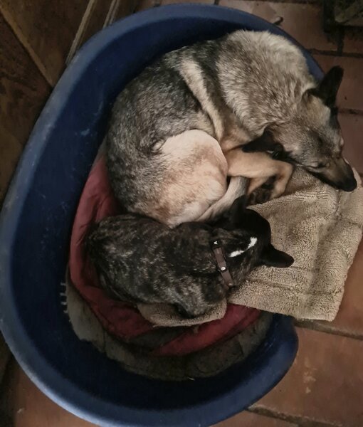 simon et gryska 06 05 21.jpg