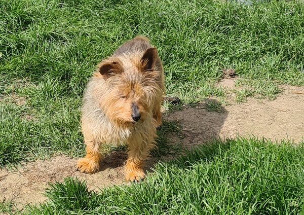 bobby 03 05 21.jpg
