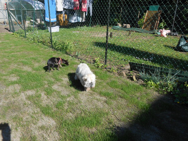 DSCN3532.JPG