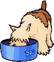4.gif.8843c0e544f0045c3ff6cac0f19be1e6.gif